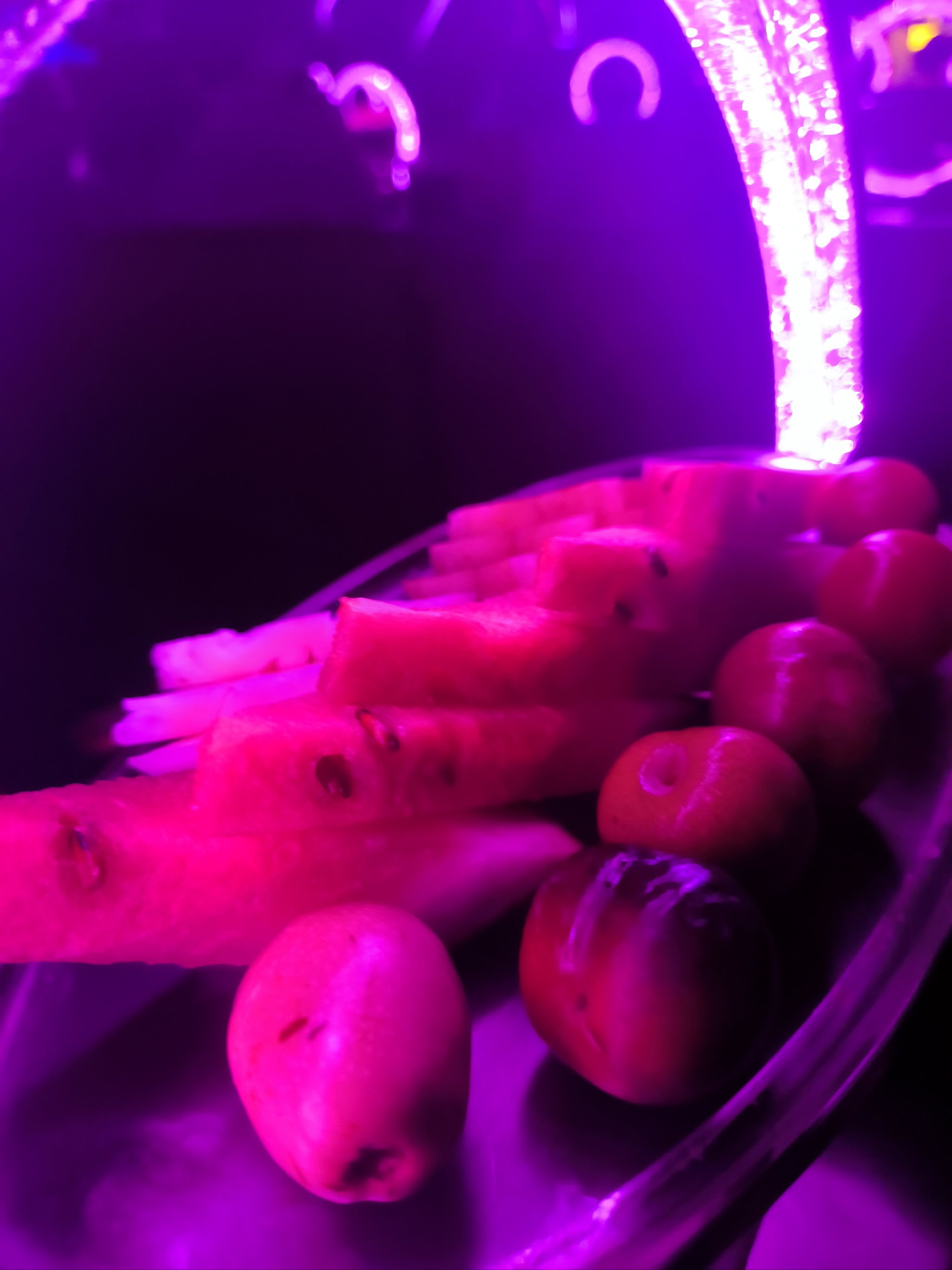 陇南商务ktv夜场商务ktv宣传首选-宕昌县ktv预定